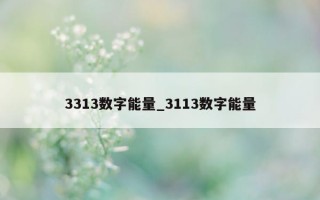 3313 数字能量_3113 数字能量