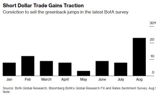 美国 CPI 本周重磅来袭，超过 20% 受访者倾向于做空美元