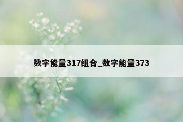 数字能量 317 组合_数字能量 373- 第 1 张图片 - 小家生活风水网