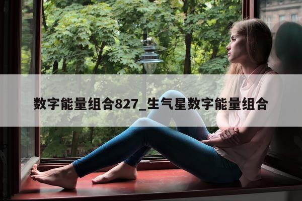 数字能量组合 827_生气星数字能量组合 - 第 1 张图片 - 小家生活风水网