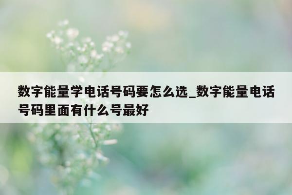 数字能量学电话号码要怎么选_数字能量电话号码里面有什么号最好 - 第 1 张图片 - 小家生活风水网