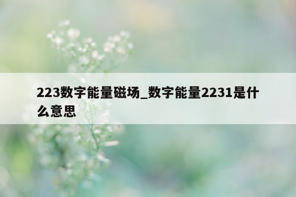 223 数字能量磁场_数字能量 2231 是什么意思 - 第 1 张图片 - 小家生活风水网