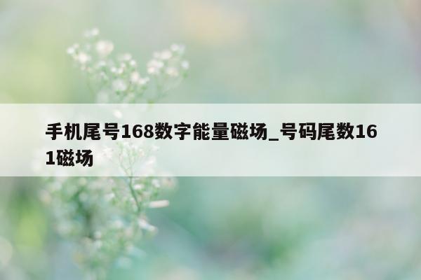 手机尾号 168 数字能量磁场_号码尾数 161 磁场 - 第 1 张图片 - 小家生活风水网