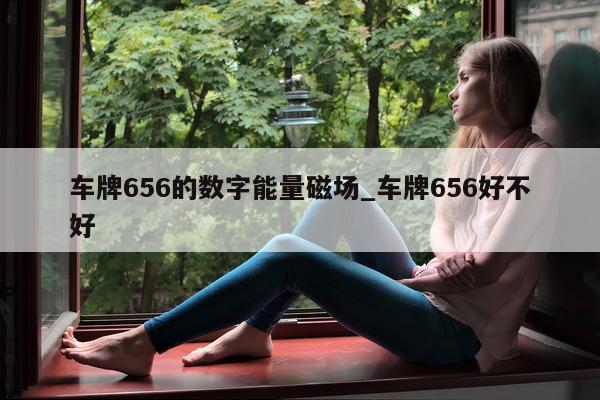 车牌 656 的数字能量磁场_车牌 656 好不好 - 第 1 张图片 - 小家生活风水网