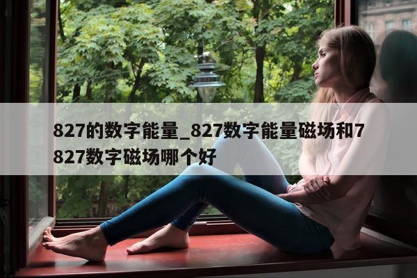 827 的数字能量_827 数字能量磁场和 7827 数字磁场哪个好 - 第 1 张图片 - 小家生活风水网