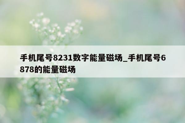 手机尾号 8231 数字能量磁场_手机尾号 6878 的能量磁场 - 第 1 张图片 - 小家生活风水网