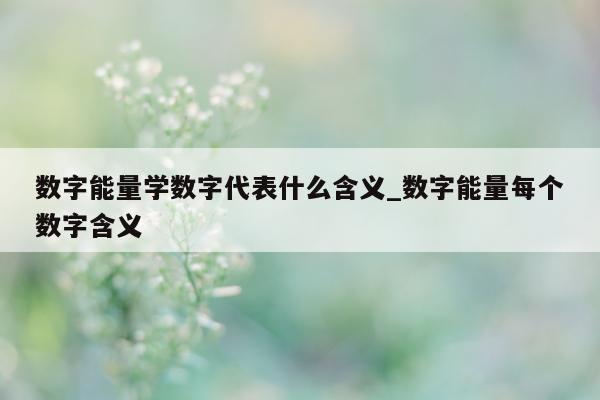 数字能量学数字代表什么含义_数字能量每个数字含义 - 第 1 张图片 - 小家生活风水网