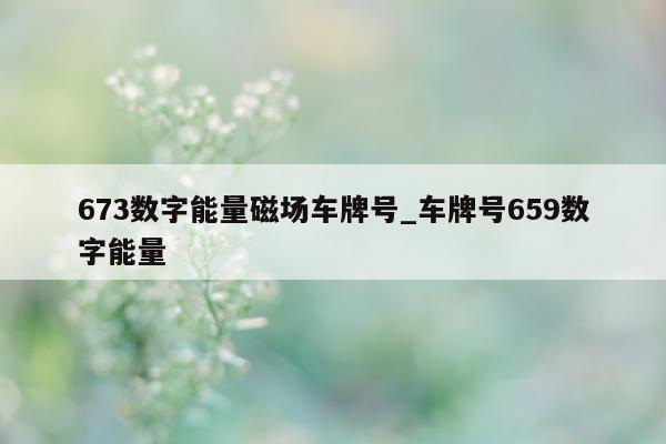 673 数字能量磁场车牌号_车牌号 659 数字能量 - 第 1 张图片 - 小家生活风水网