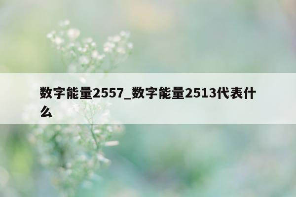 数字能量 2557_数字能量 2513 代表什么 - 第 1 张图片 - 小家生活风水网