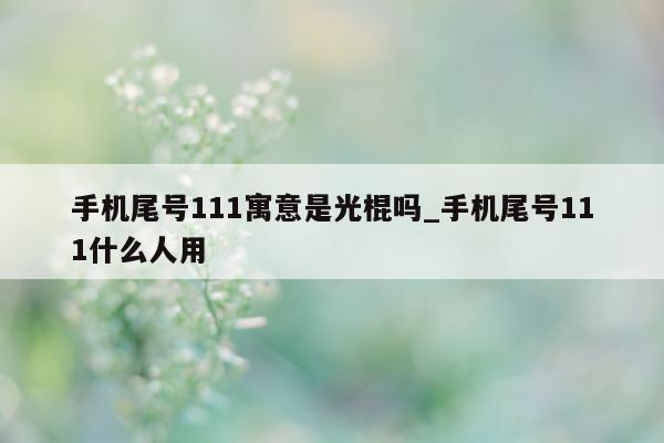 手机尾号 111 寓意是光棍吗_手机尾号 111 什么人用 - 第 1 张图片 - 小家生活风水网