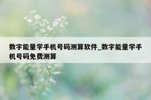 数字能量学手机号码测算软件_数字能量学手机号码免费测算 - 第 1 张图片 - 小家生活风水网