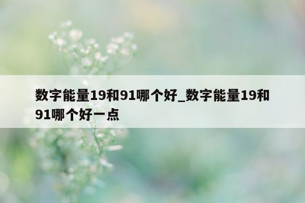 数字能量 19 和 91 哪个好_数字能量 19 和 91 哪个好一点 - 第 1 张图片 - 小家生活风水网