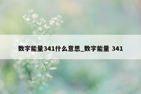 数字能量 341 什么意思_数字能量 341- 第 1 张图片 - 小家生活风水网