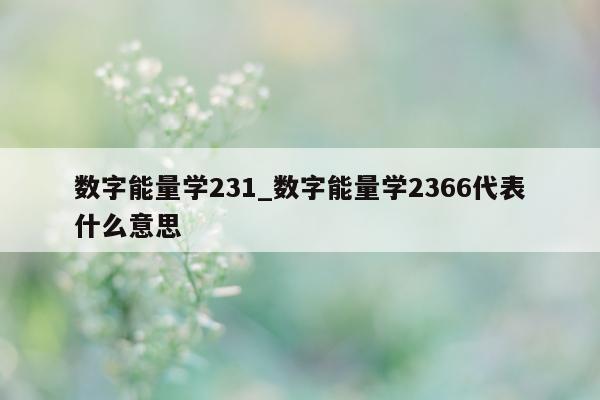 数字能量学 231_数字能量学 2366 代表什么意思 - 第 1 张图片 - 小家生活风水网