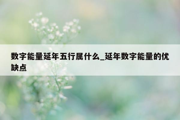 数字能量延年五行属什么_延年数字能量的优缺点 - 第 1 张图片 - 小家生活风水网