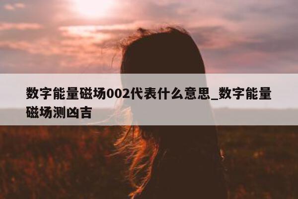 数字能量磁场 002 代表什么意思_数字能量磁场测凶吉 - 第 1 张图片 - 小家生活风水网