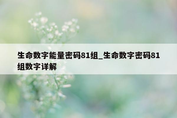 生命数字能量密码 81 组_生命数字密码 81 组数字详解 - 第 1 张图片 - 小家生活风水网