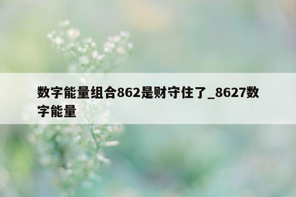 数字能量组合 862 是财守住了_8627 数字能量 - 第 1 张图片 - 小家生活风水网