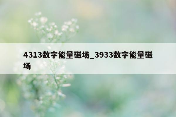 4313 数字能量磁场_3933 数字能量磁场 - 第 1 张图片 - 小家生活风水网