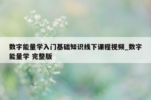 数字能量学入门基础知识线下课程视频_数字能量学 完整版 - 第 1 张图片 - 小家生活风水网