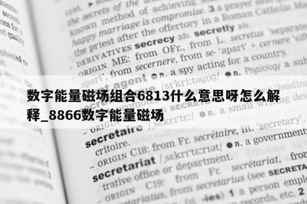 数字能量磁场组合 6813 什么意思呀怎么解释_8866 数字能量磁场 - 第 1 张图片 - 小家生活风水网