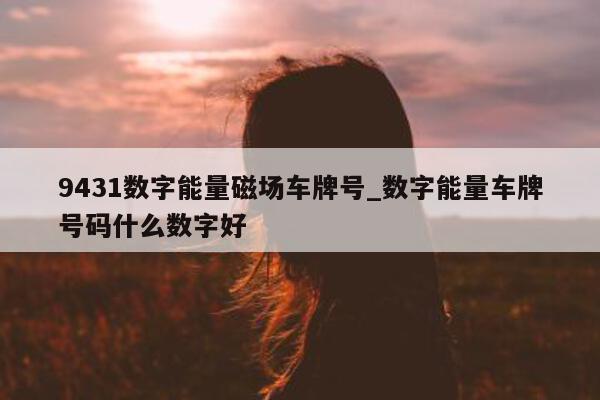 9431 数字能量磁场车牌号_数字能量车牌号码什么数字好 - 第 1 张图片 - 小家生活风水网