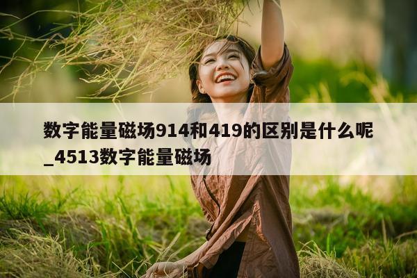 数字能量磁场 914 和 419 的区别是什么呢_4513 数字能量磁场 - 第 1 张图片 - 小家生活风水网