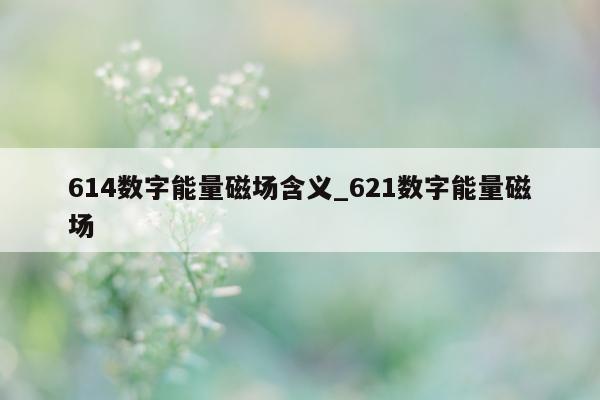 614 数字能量磁场含义_621 数字能量磁场 - 第 1 张图片 - 小家生活风水网