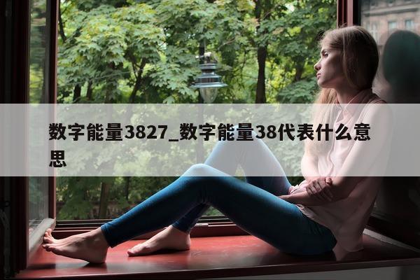 数字能量 3827_数字能量 38 代表什么意思 - 第 1 张图片 - 小家生活风水网