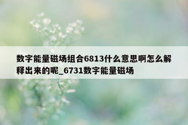 数字能量磁场组合 6813 什么意思啊怎么解释出来的呢_6731 数字能量磁场 - 第 1 张图片 - 小家生活风水网