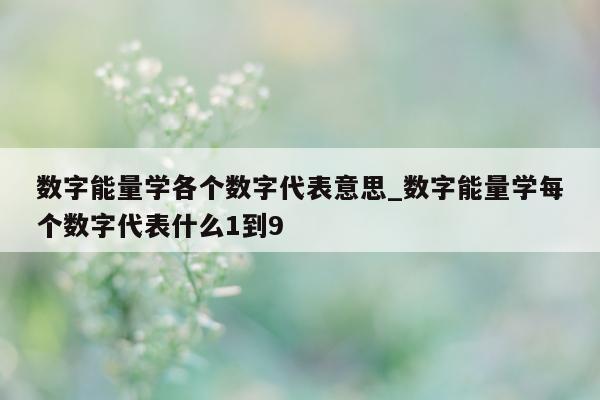 数字能量学各个数字代表意思_数字能量学每个数字代表什么 1 到 9 - 第 1 张图片 - 小家生活风水网