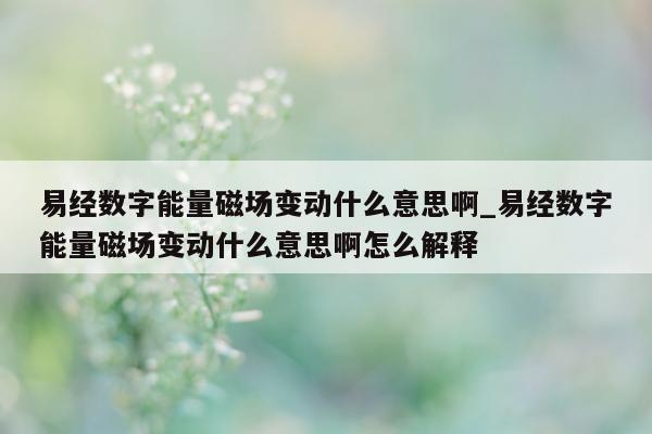 易经数字能量磁场变动什么意思啊_易经数字能量磁场变动什么意思啊怎么解释 - 第 1 张图片 - 小家生活风水网