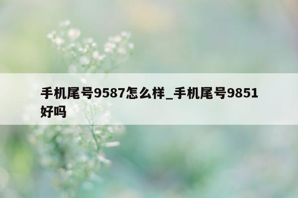 手机尾号 9587 怎么样_手机尾号 9851 好吗 - 第 1 张图片 - 小家生活风水网