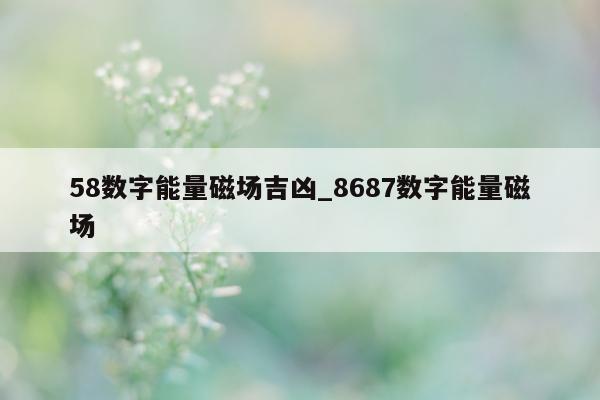 58 数字能量磁场吉凶_8687 数字能量磁场 - 第 1 张图片 - 小家生活风水网