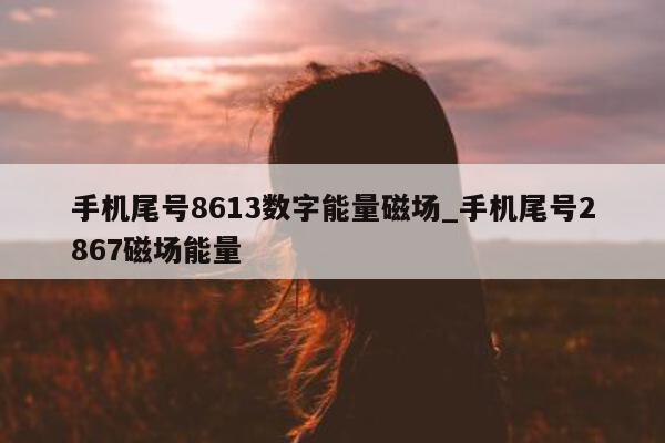 手机尾号 8613 数字能量磁场_手机尾号 2867 磁场能量 - 第 1 张图片 - 小家生活风水网