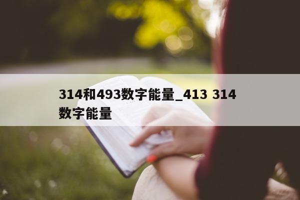 314 和 493 数字能量_413 314 数字能量 - 第 1 张图片 - 小家生活风水网