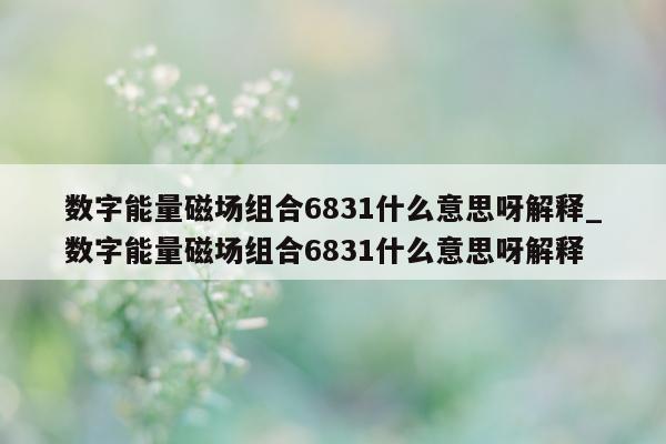 数字能量磁场组合 6831 什么意思呀解释_数字能量磁场组合 6831 什么意思呀解释 - 第 1 张图片 - 小家生活风水网