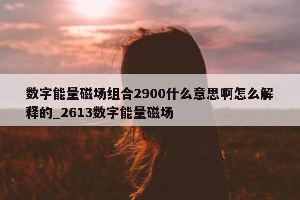 数字能量磁场组合 2900 什么意思啊怎么解释的_2613 数字能量磁场 - 第 1 张图片 - 小家生活风水网