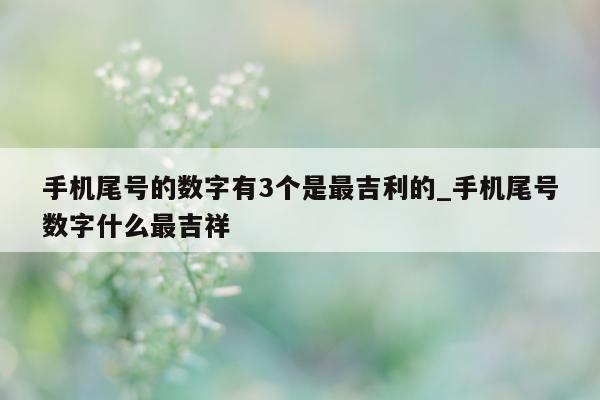 手机尾号的数字有 3 个是最吉利的_手机尾号数字什么最吉祥 - 第 1 张图片 - 小家生活风水网