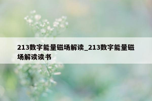 213 数字能量磁场解读_213 数字能量磁场解读读书 - 第 1 张图片 - 小家生活风水网