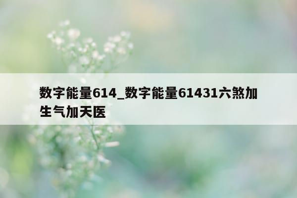 数字能量 614_数字能量 61431 六煞加生气加天医 - 第 1 张图片 - 小家生活风水网