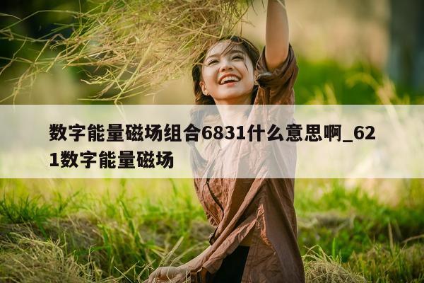 数字能量磁场组合 6831 什么意思啊_621 数字能量磁场 - 第 1 张图片 - 小家生活风水网