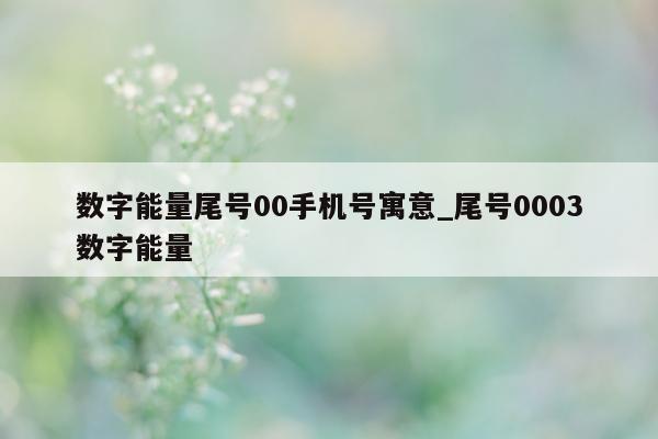 数字能量尾号 00 手机号寓意_尾号 0003 数字能量 - 第 1 张图片 - 小家生活风水网