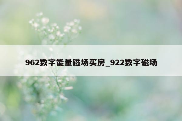 962 数字能量磁场买房_922 数字磁场 - 第 1 张图片 - 小家生活风水网