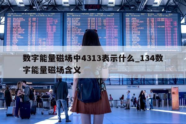 数字能量磁场中 4313 表示什么_134 数字能量磁场含义 - 第 1 张图片 - 小家生活风水网