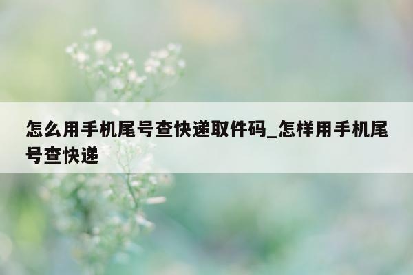 怎么用手机尾号查快递取件码_怎样用手机尾号查快递 - 第 1 张图片 - 小家生活风水网