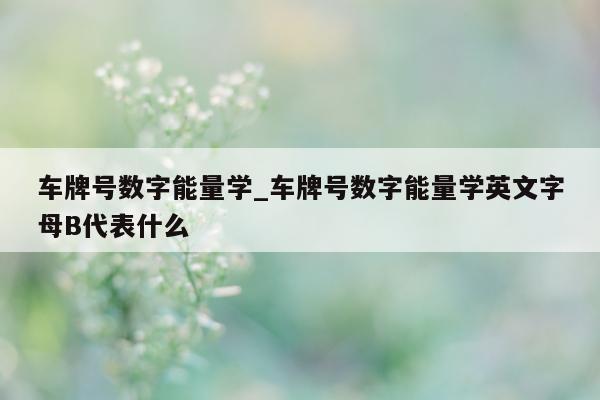 车牌号数字能量学_车牌号数字能量学英文字母 B 代表什么 - 第 1 张图片 - 小家生活风水网