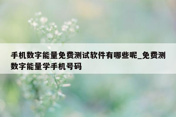 手机数字能量免费测试软件有哪些呢_免费测数字能量学手机号码 - 第 1 张图片 - 小家生活风水网