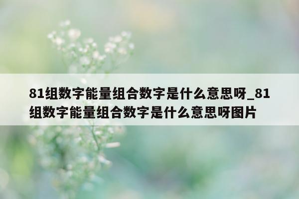 81 组数字能量组合数字是什么意思呀_81 组数字能量组合数字是什么意思呀图片 - 第 1 张图片 - 小家生活风水网