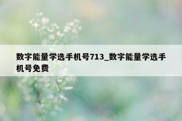 数字能量学选手机号 713_数字能量学选手机号免费 - 第 1 张图片 - 小家生活风水网